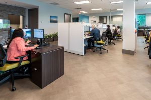 people working at office desks